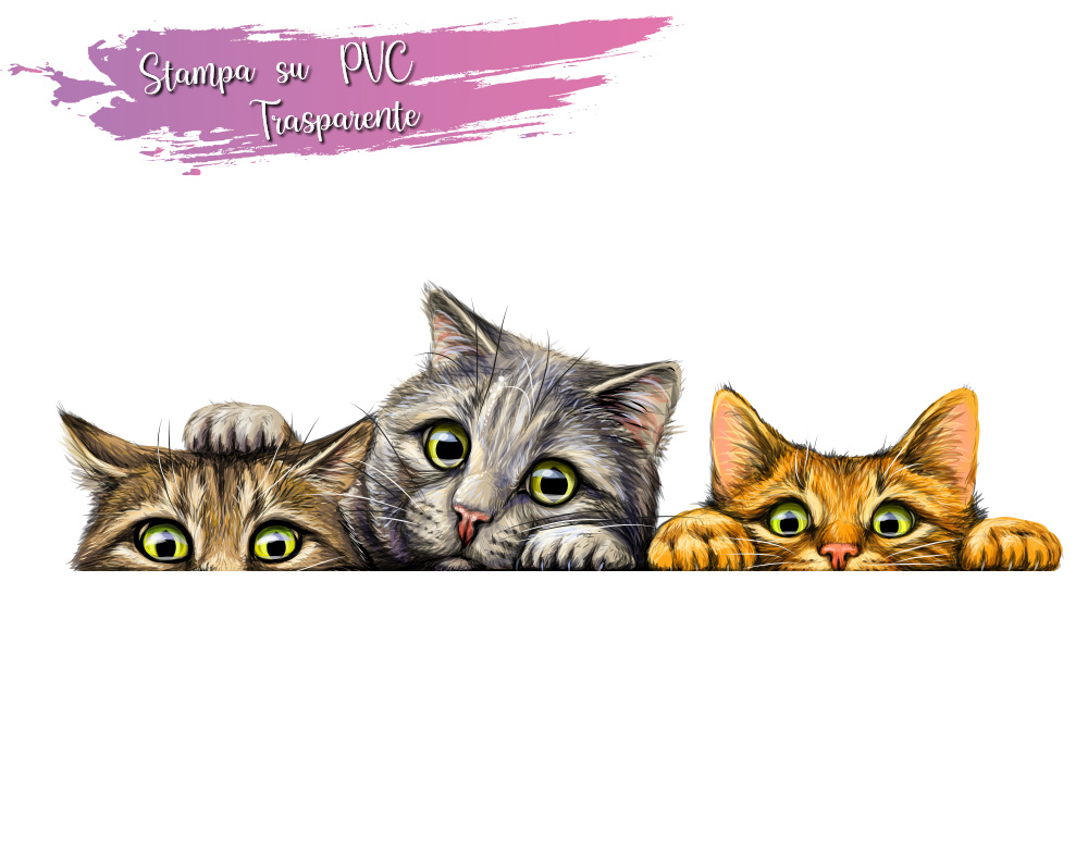Sticker Design vi presenta Adesivi murali Gatti sticker simpatici gattini  che si affacciano
