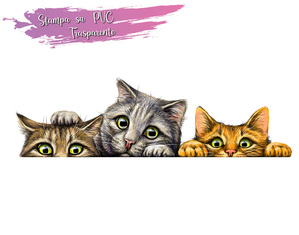 Adesivi murali Gatti sticker simpatici gattini che si affacciano