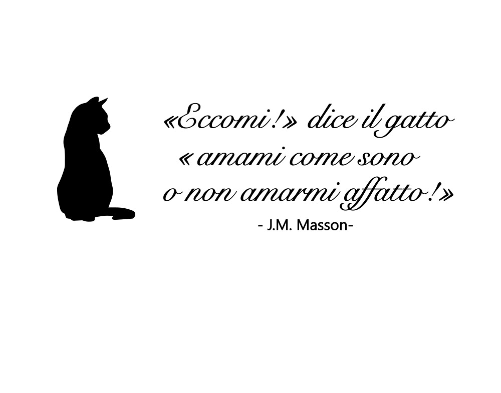 Sticker Design vi presenta Adesivi Murali frasi gatto amore animali