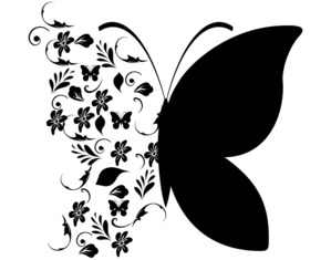 Farfalla e Fiori
